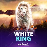 White King