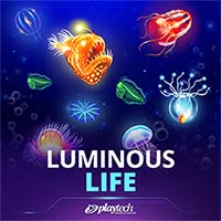 Luminous Life