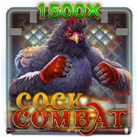 Cock Combat